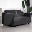 Picture of Aspen Sofa Bed - Charcoal