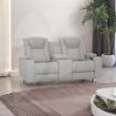 Picture of Jesse 2Pw/Console Table & Storage Pearl