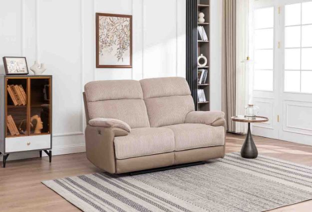 Picture of Arlington 2 Seater Loveseat
