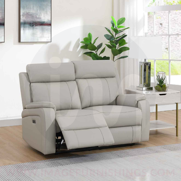 Picture of Banbury 2PP Seater Loveseat - Light Grey Leather